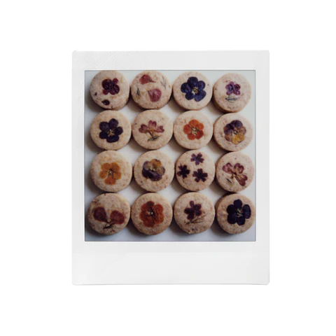 Película Instax SQUARE (10 exposiciones)