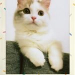 Película Instax Mini – Sprinkles