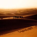 Cámara Fujifilm X-T5 Plata + XF16-50mm