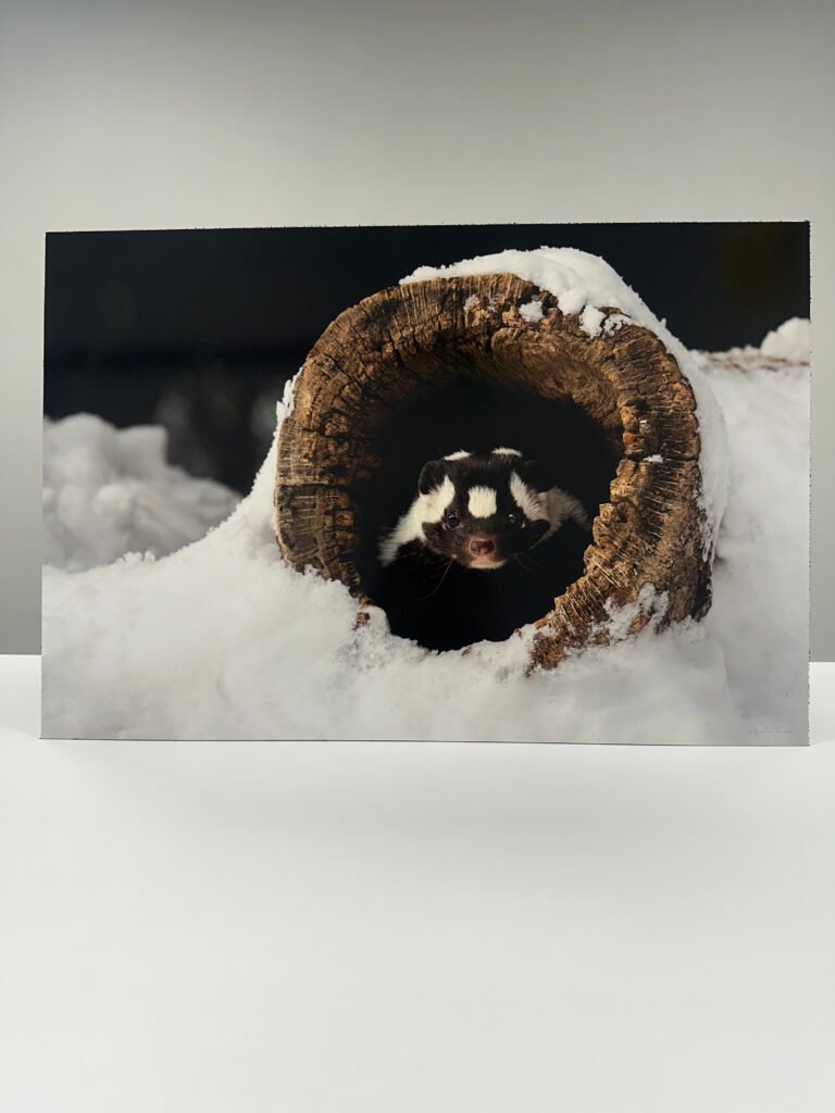 La capa invisible que decide cuánto vive una fotografía impresa: hablemos del laminado