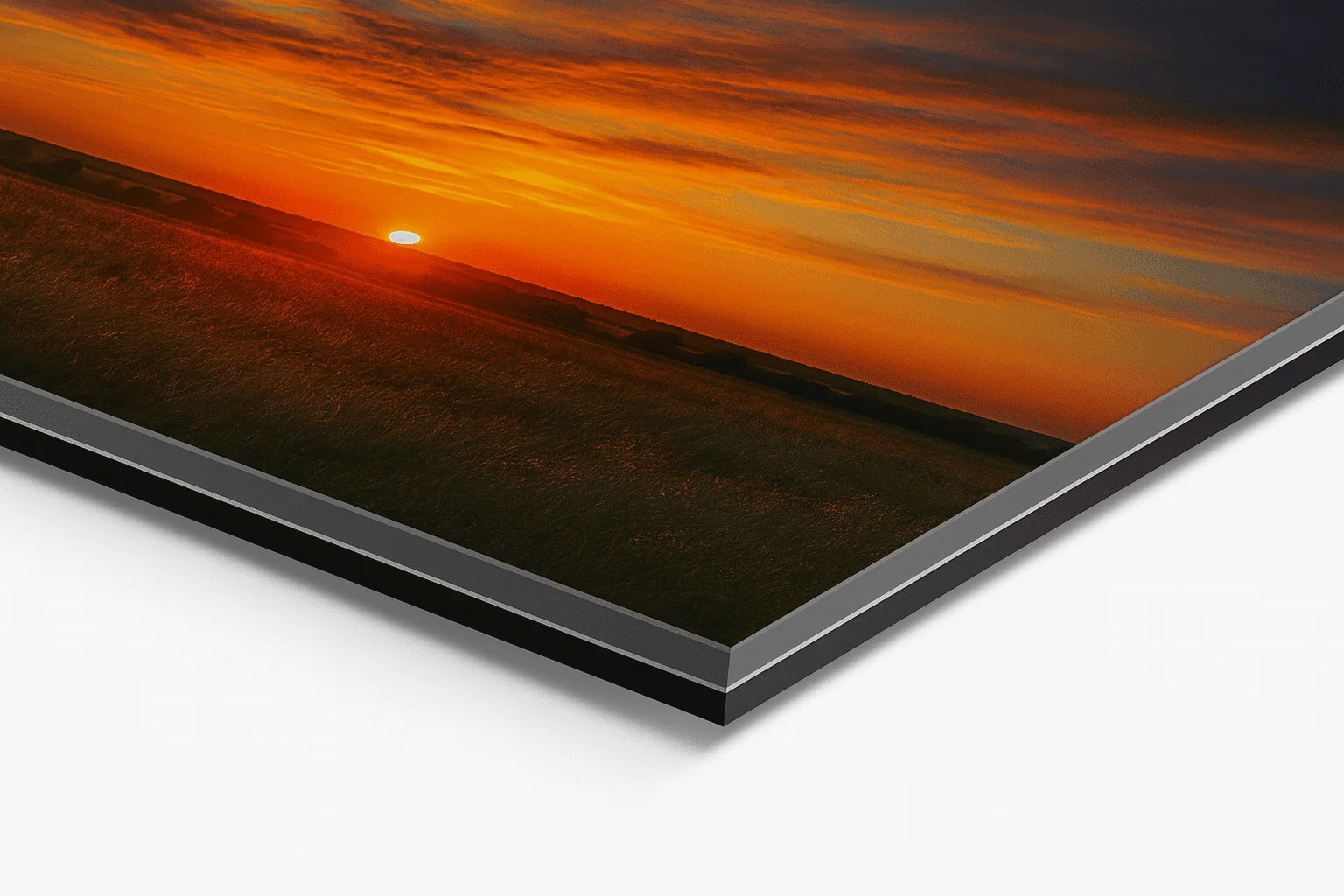 Encapsulado profesional en acrílico