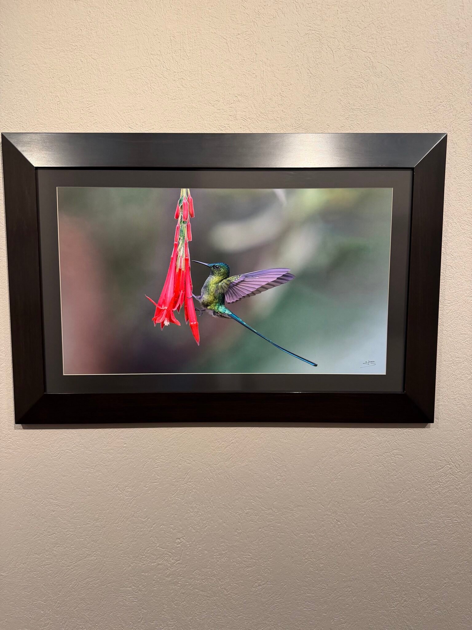 Fotografía a color de gran vibración y realismo impresa en LAF (sublimación ChromaLuxe)