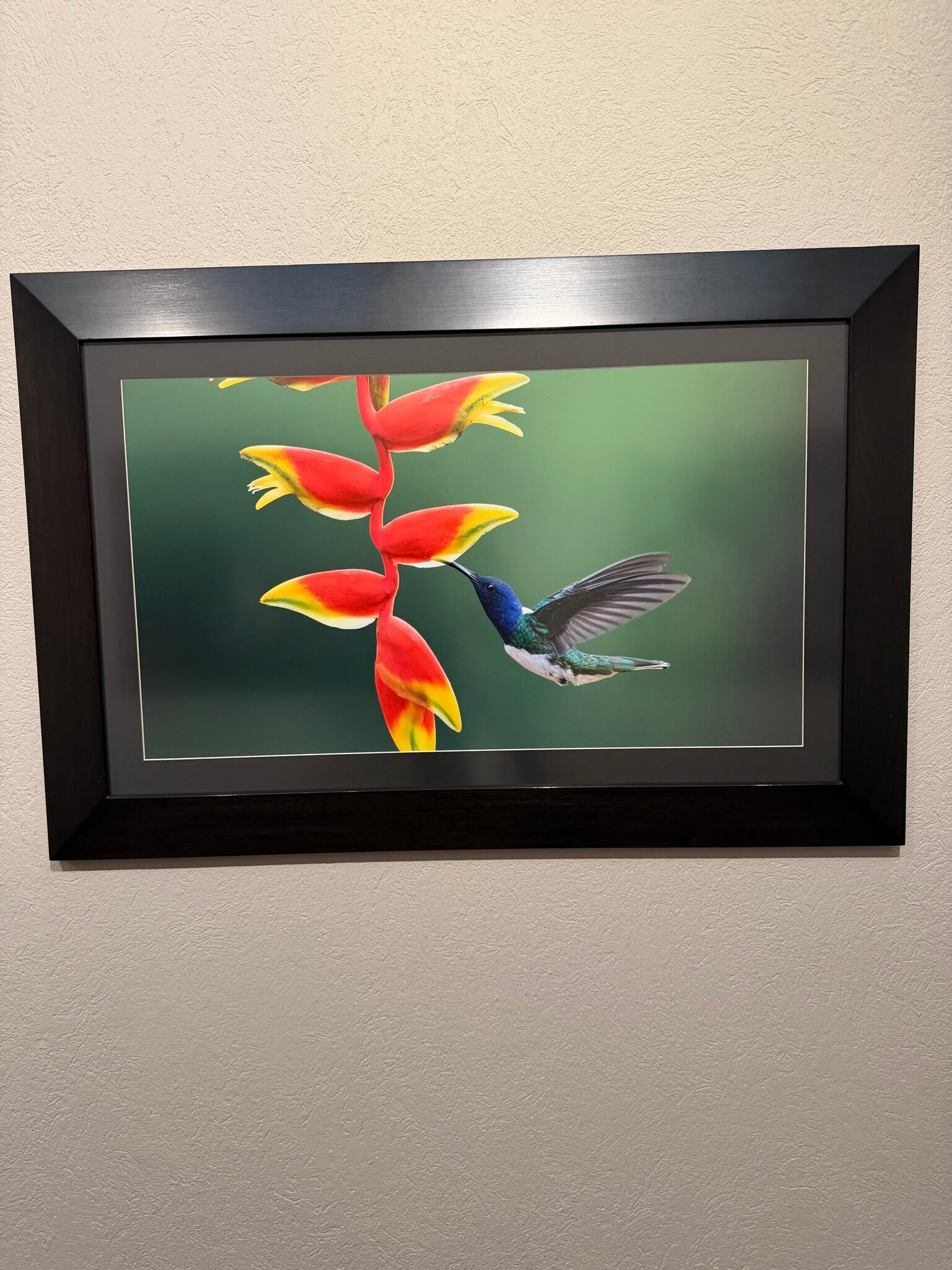Fotografía a color de gran vibración y realismo impresa en LAF (sublimación ChromaLuxe)