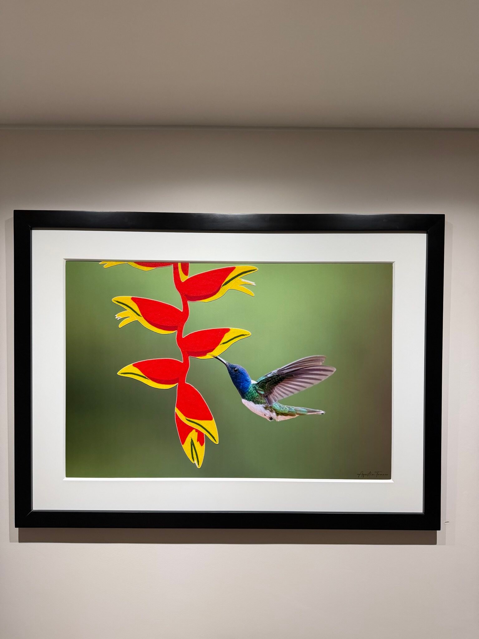 Fotografía a color de alta nitidez y colores vibrantes (sublimación ChromaLuxe) — LAF
