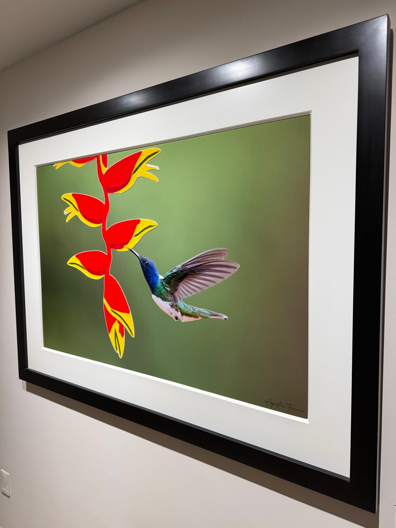 Fotografía a color de alta nitidez y colores vibrantes (sublimación ChromaLuxe) — LAF