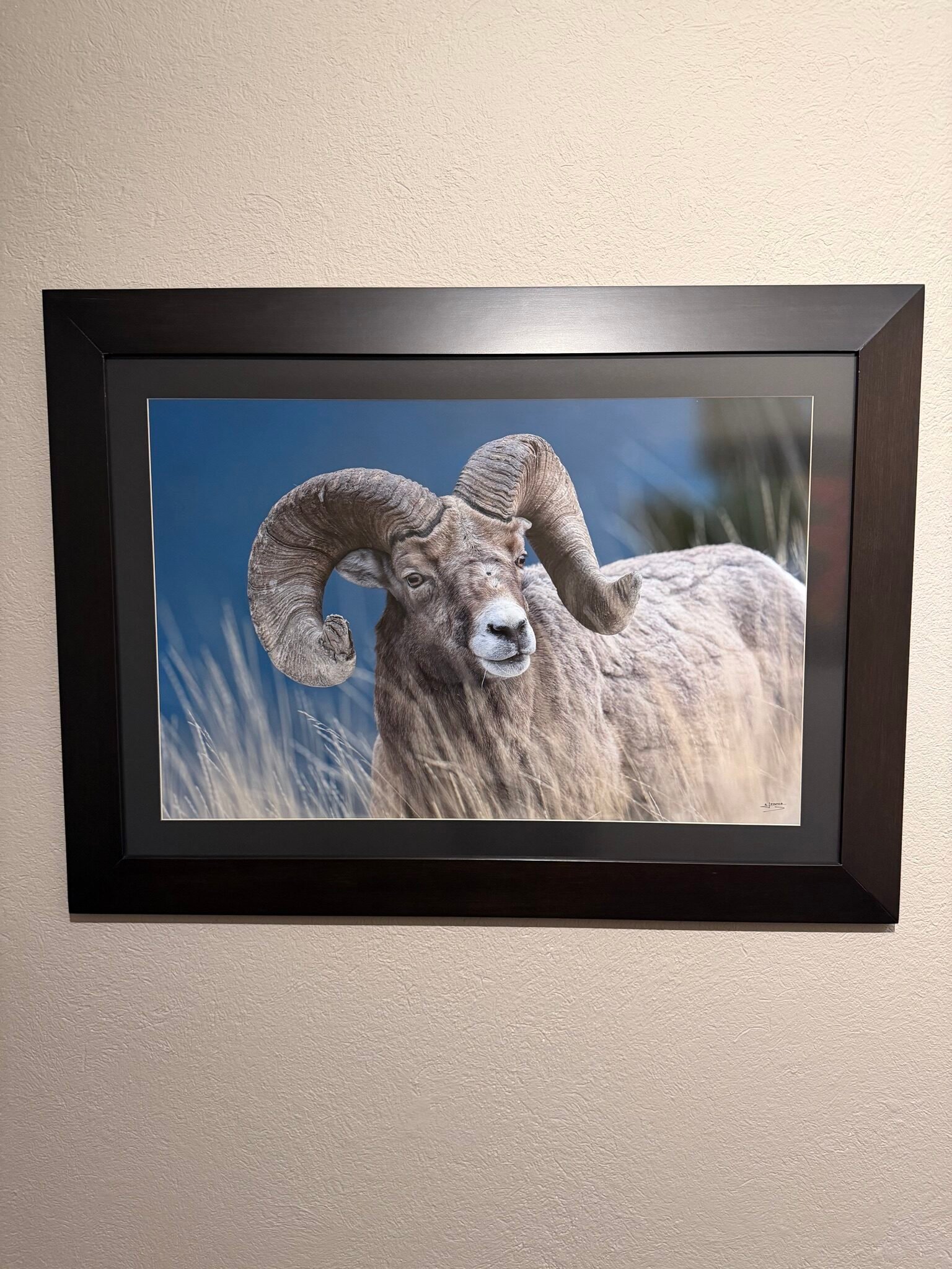 Fotografía a color de gran vibración y realismo impresa en LAF (sublimación ChromaLuxe)