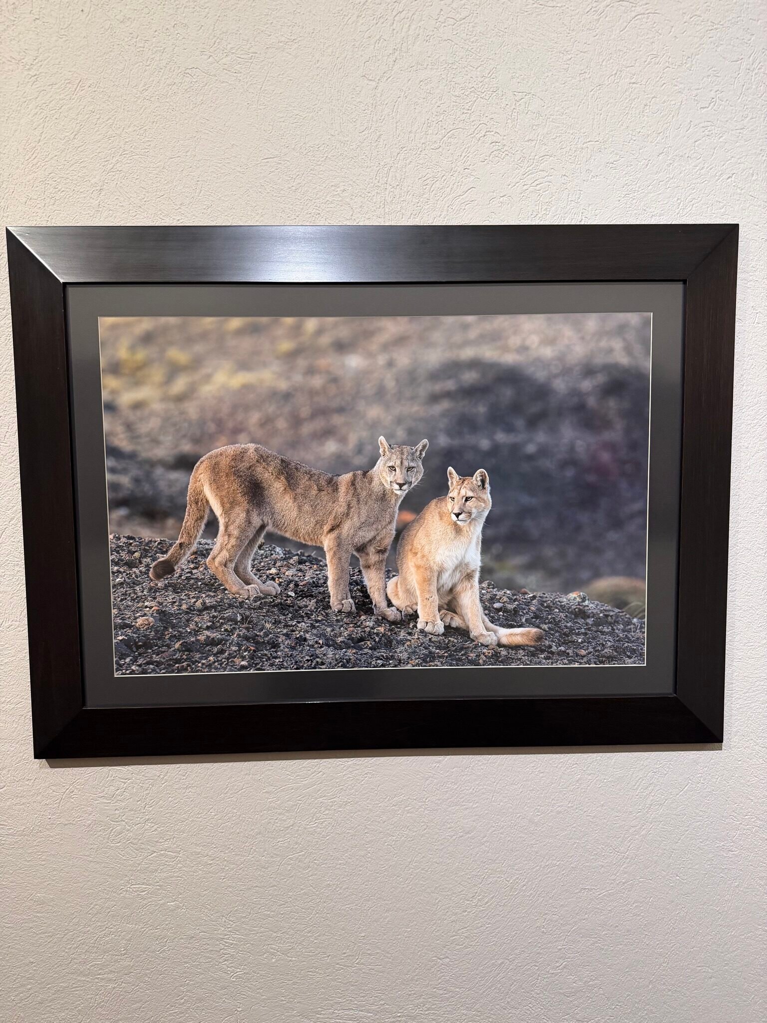 Fotografía a color de gran vibración y realismo impresa en LAF (sublimación ChromaLuxe)