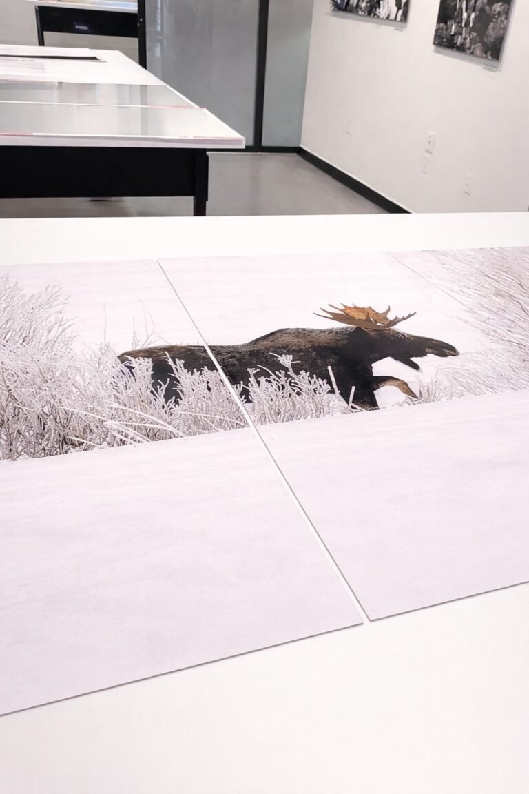 Cómo elegir foto para sala, comedor o recámara
