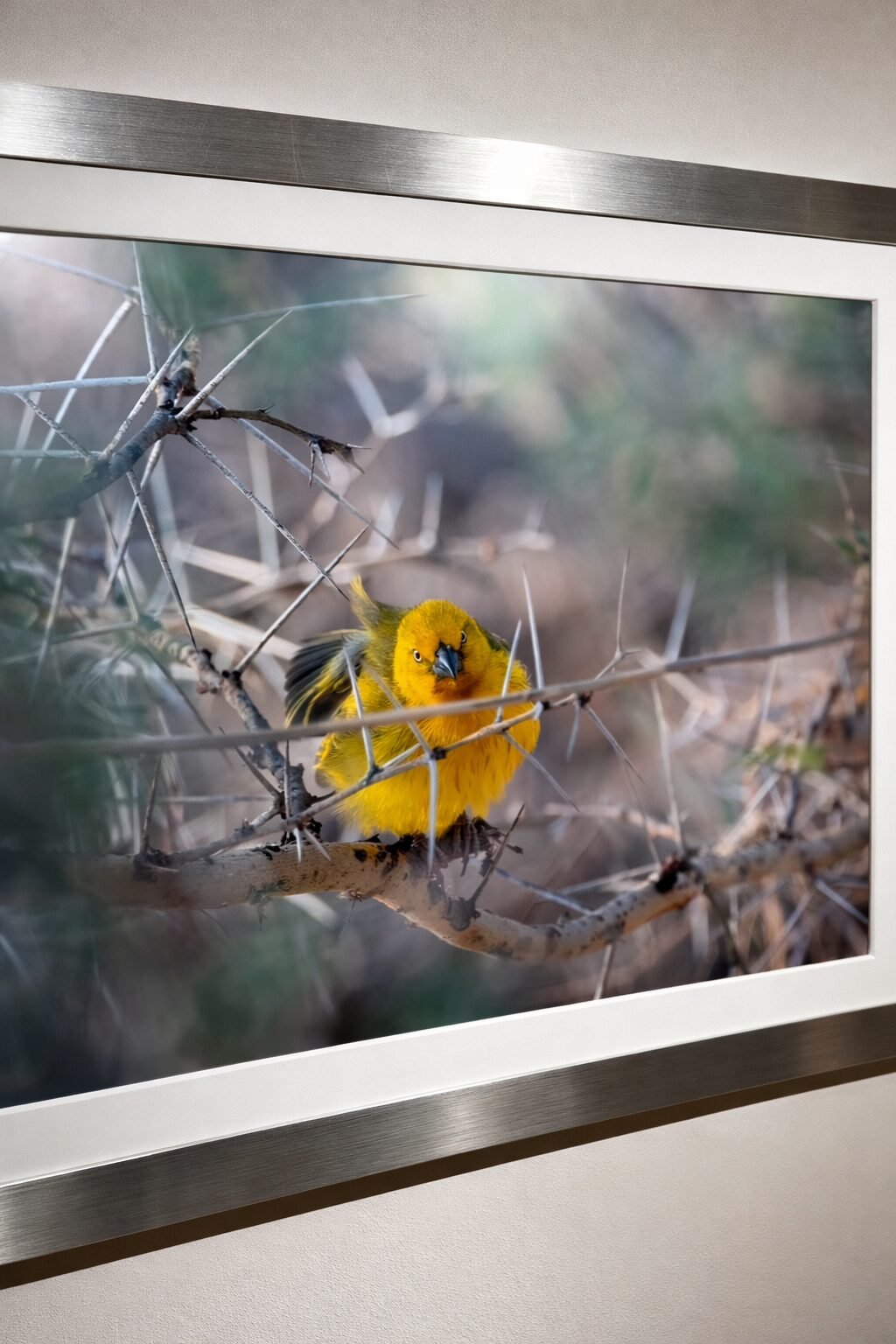 Fotografía Fine Art enmarcada con marco metálico y paspartú