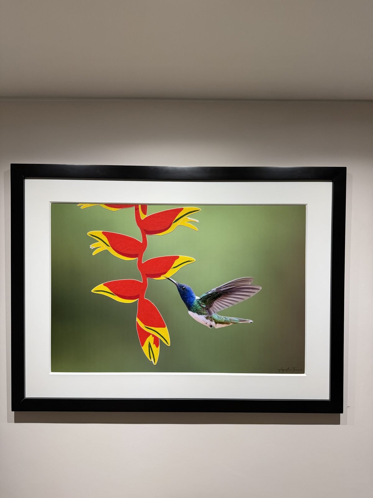 Impresión Fine Art enmarcada con marco negro y paspartú blanco, lista para colgar