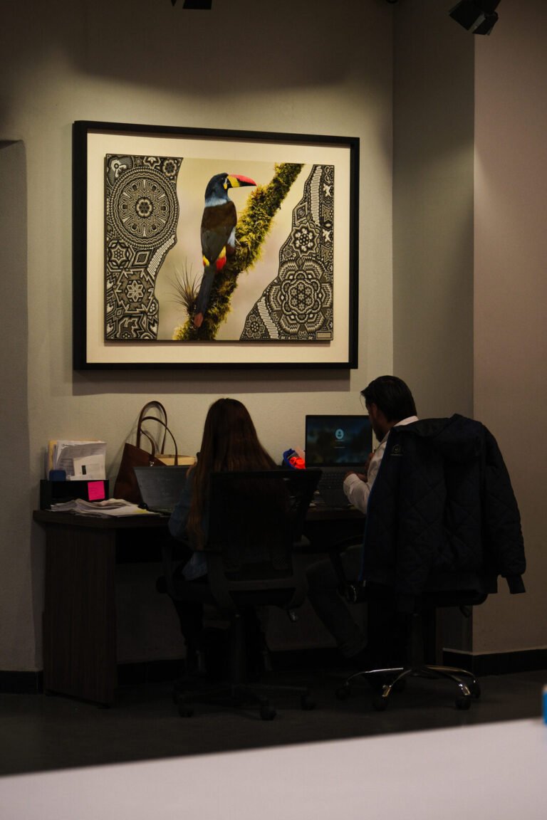 Iluminación correcta para arte fotográfico en sala u oficina