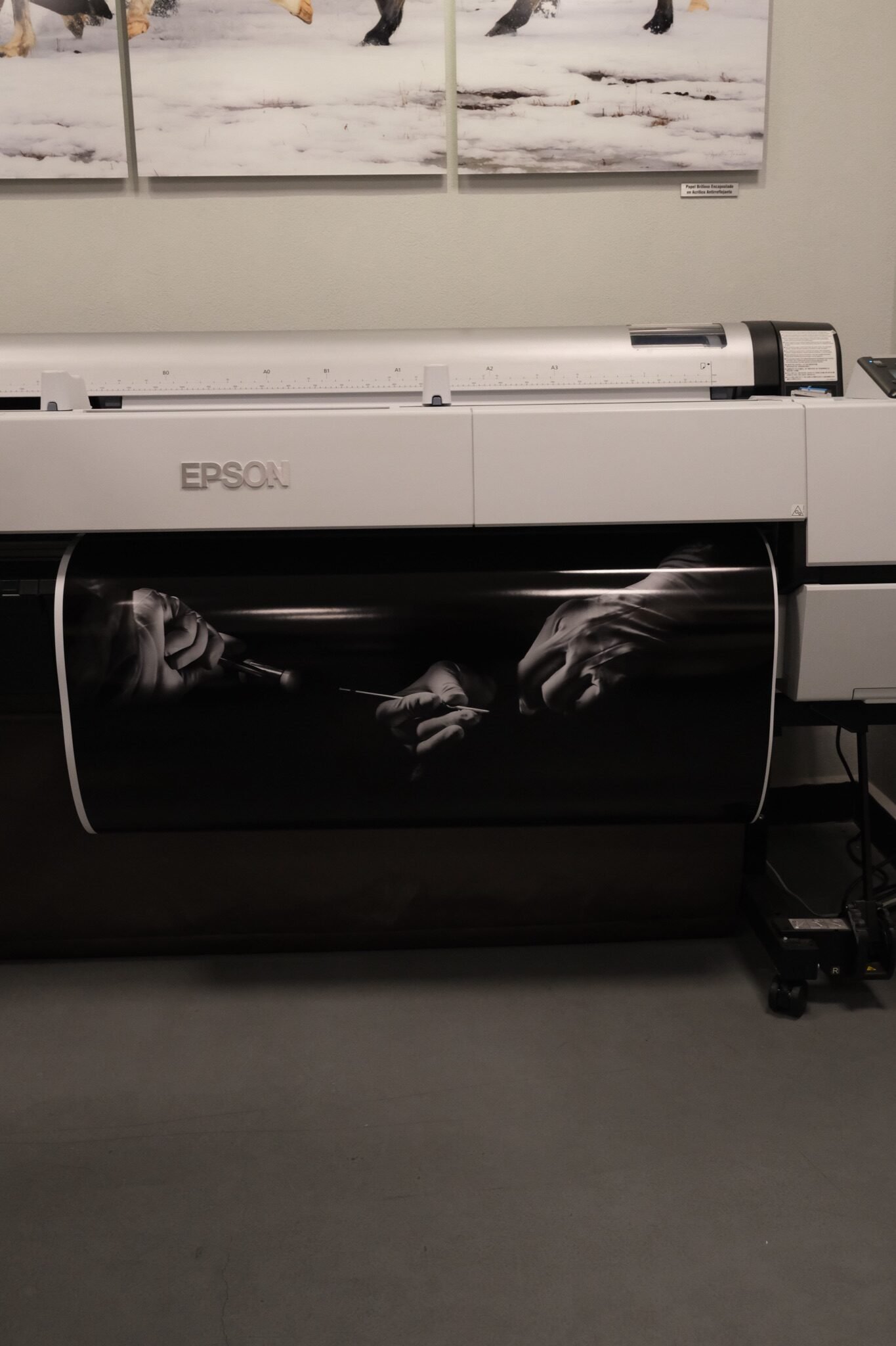 Impresión Fine Art en blanco y negro sobre papel de algodón en LAF, Naucalpan